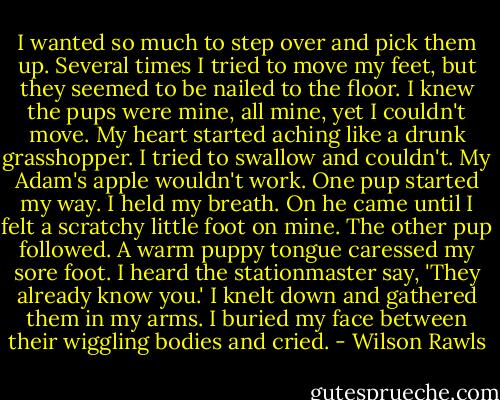I wanted so much to step over and pick them up. Several times I tried to move my feet, but they seemed to be nailed to the floor. I knew the pups were mine, all mine, yet I couldn't move. My heart started aching like a drunk grasshopper. I tried to swallow and couldn't. My Adam's apple wouldn't work. One pup started my way. I held my breath. On he came until I felt a scratchy little foot on mine. The other pup followed. A warm puppy tongue caressed my sore foot. I heard the stationmaster say, 'They already know you.' I knelt down and gathered them in my arms. I buried my face between their wiggling bodies and cried. - Wilson Rawls