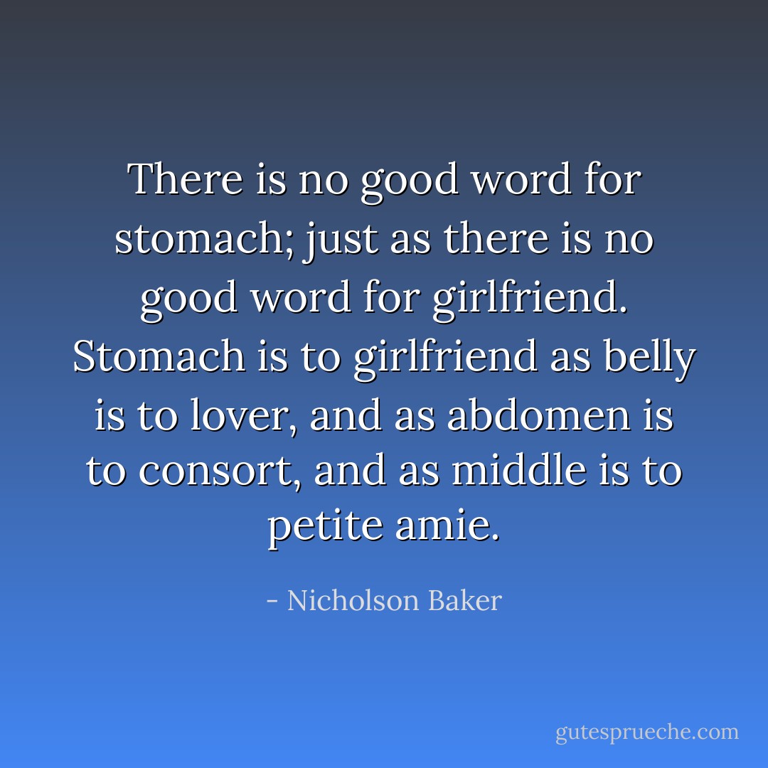 There is no good word for <i>stomach</i>; just as there is no good word for <i>girlfriend</i>. <i>Stomach</i> is to <i>girlfriend</i> as <i>belly</i> is to <i>lover</i>, and as <i>abdomen</i> is to <i>consort</i>, and as <i>middle</i> is to <i>petite amie</i>. - Nicholson Baker