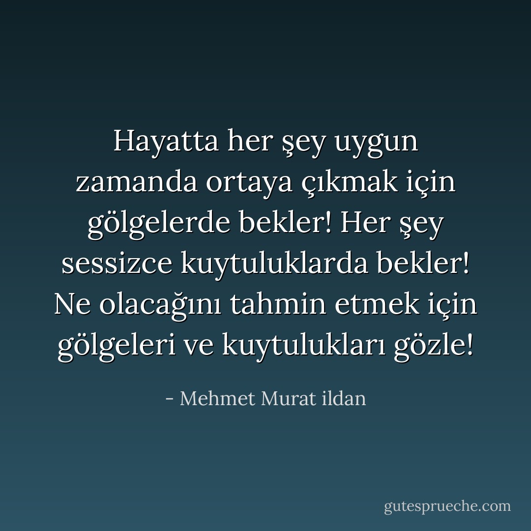 Hayatta her şey uygun zamanda ortaya çıkmak için gölgelerde bekler! Her şey sessizce kuytuluklarda bekler! Ne olacağını tahmin etmek için gölgeleri ve kuytulukları gözle! - Mehmet Murat ildan