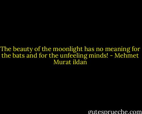 The beauty of the moonlight has no meaning for the bats and for the unfeeling minds! - Mehmet Murat ildan