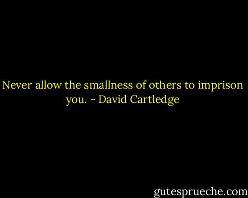 Never allow the smallness of others to imprison you. - David Cartledge