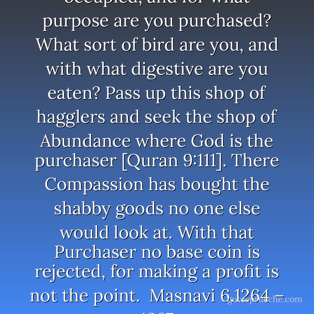 With what work at you occupied,<br />and for what purpose are you purchased?<br />What sort of bird are you,<br />and with what digestive are you eaten?<br />Pass up this shop of hagglers<br />and seek the shop of Abundance where God is the purchaser [Quran 9:111].<br />There Compassion has bought<br />the shabby goods no one else would look at.<br />With that Purchaser no base coin is rejected,<br />for making a profit is not the point.<br /><br />Masnavi 6.1264 – 1267 - Jalal ad-Din Muhammad ar-Rumi