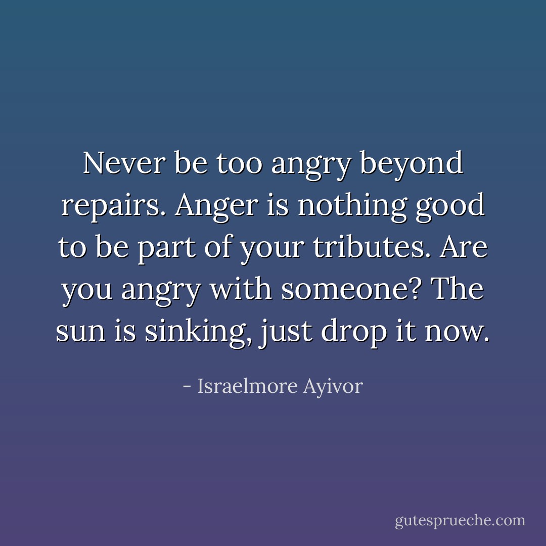 Never be too angry beyond repairs. Anger is nothing good to be part of your tributes. Are you angry with someone? The sun is sinking, just drop it now. - Israelmore Ayivor
