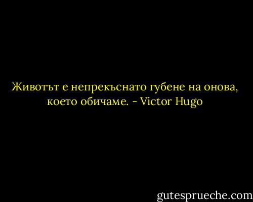 Животът е непрекъснато губене на онова, което обичаме. - Victor Hugo