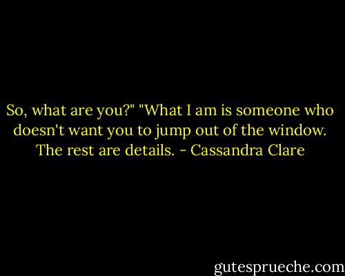 So, what are you?"<br />"What I am is someone who doesn't want you to jump out of the window. The rest are details. - Cassandra Clare