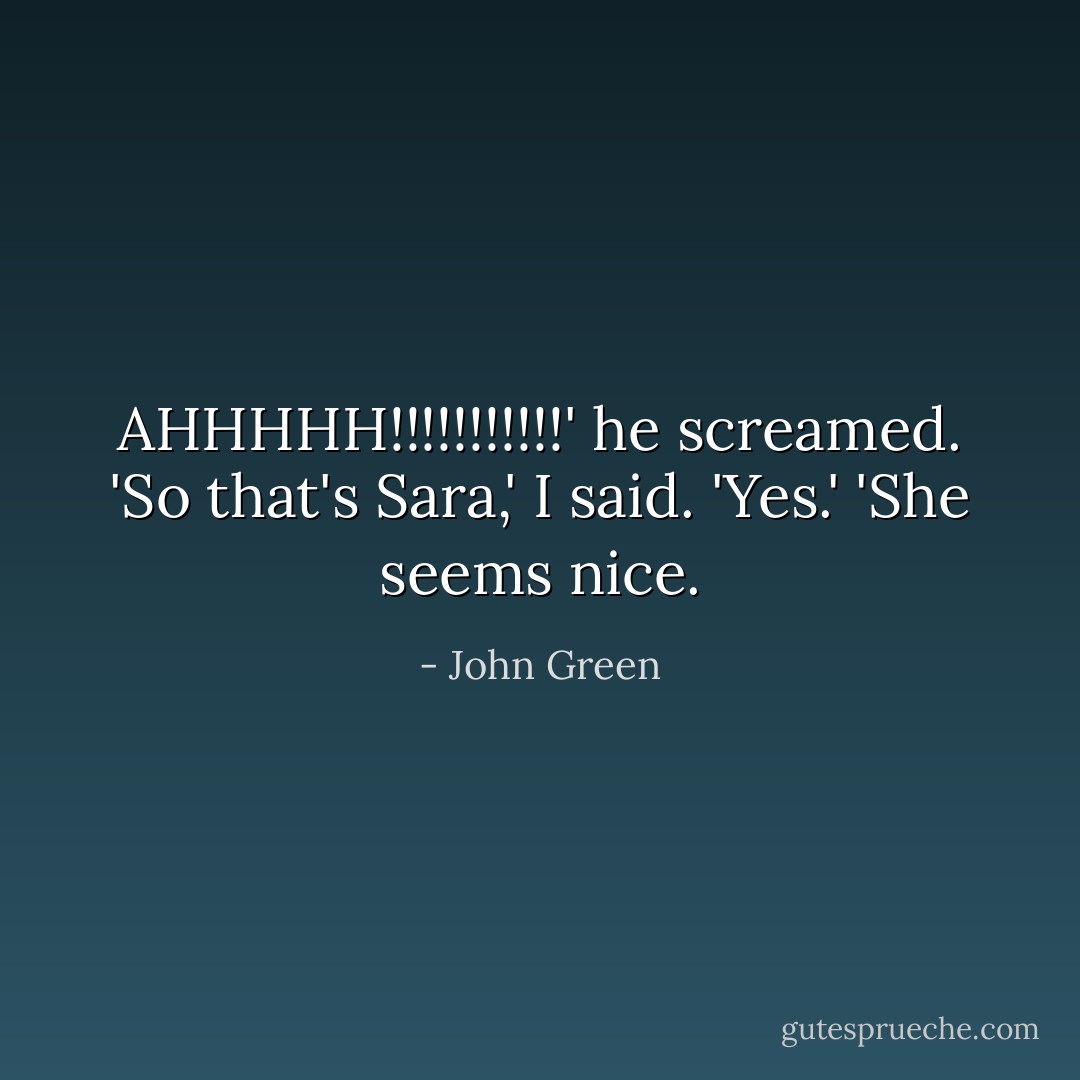 AHHHHH!!!!!!!!!!!' he screamed.<br />'So that's Sara,' I said.<br />'Yes.'<br />'She seems nice. - John Green