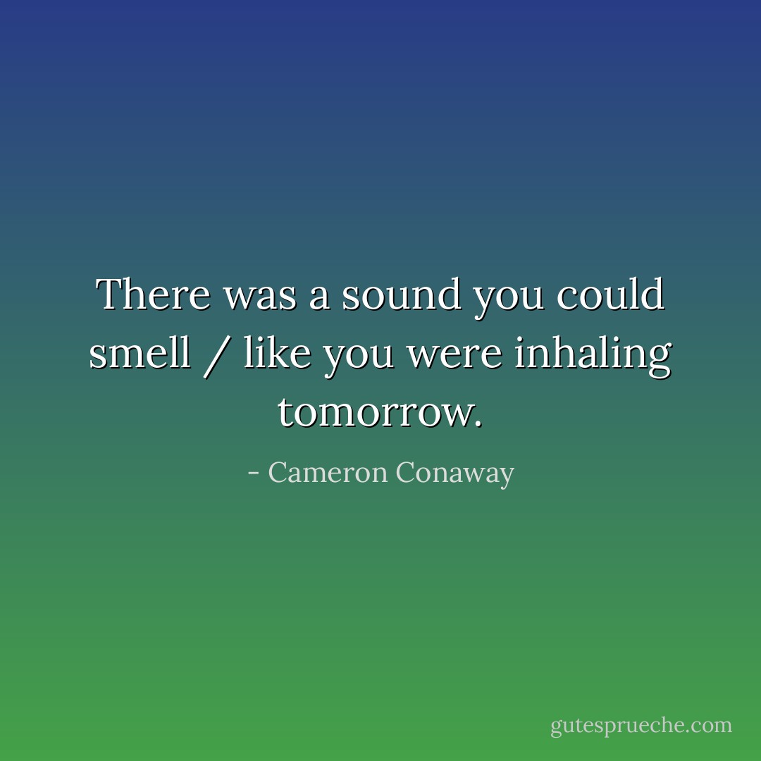 There was a sound you could smell / like you were inhaling tomorrow. - Cameron Conaway