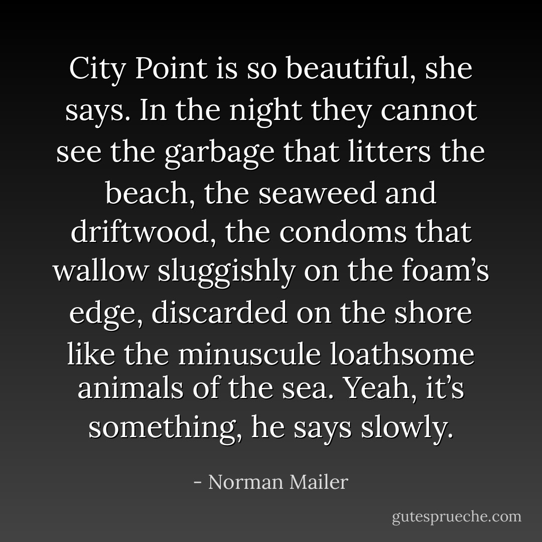 City Point is so beautiful, she says. In the night they cannot see the garbage that litters the beach, the seaweed and driftwood, the condoms that wallow sluggishly on the foam’s edge, discarded on the shore like the minuscule loathsome animals of the sea. Yeah, it’s something, he says slowly. - Norman Mailer