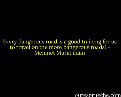Every dangerous road is a good training for us to travel on the more dangerous roads! - Mehmet Murat ildan