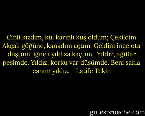 Cinli kızdım, kül karınlı kuş oldum;<br />Çekildim Akçalı göğüne, kanadım açtım;<br />Geldim ince ota düştüm, iğneli yıldıza kaçtım.<br /><br />Yıldız, ağıtlar peşimde.<br />Yıldız, korku var düşümde.<br />Beni sakla canım yıldız. - Latife Tekin