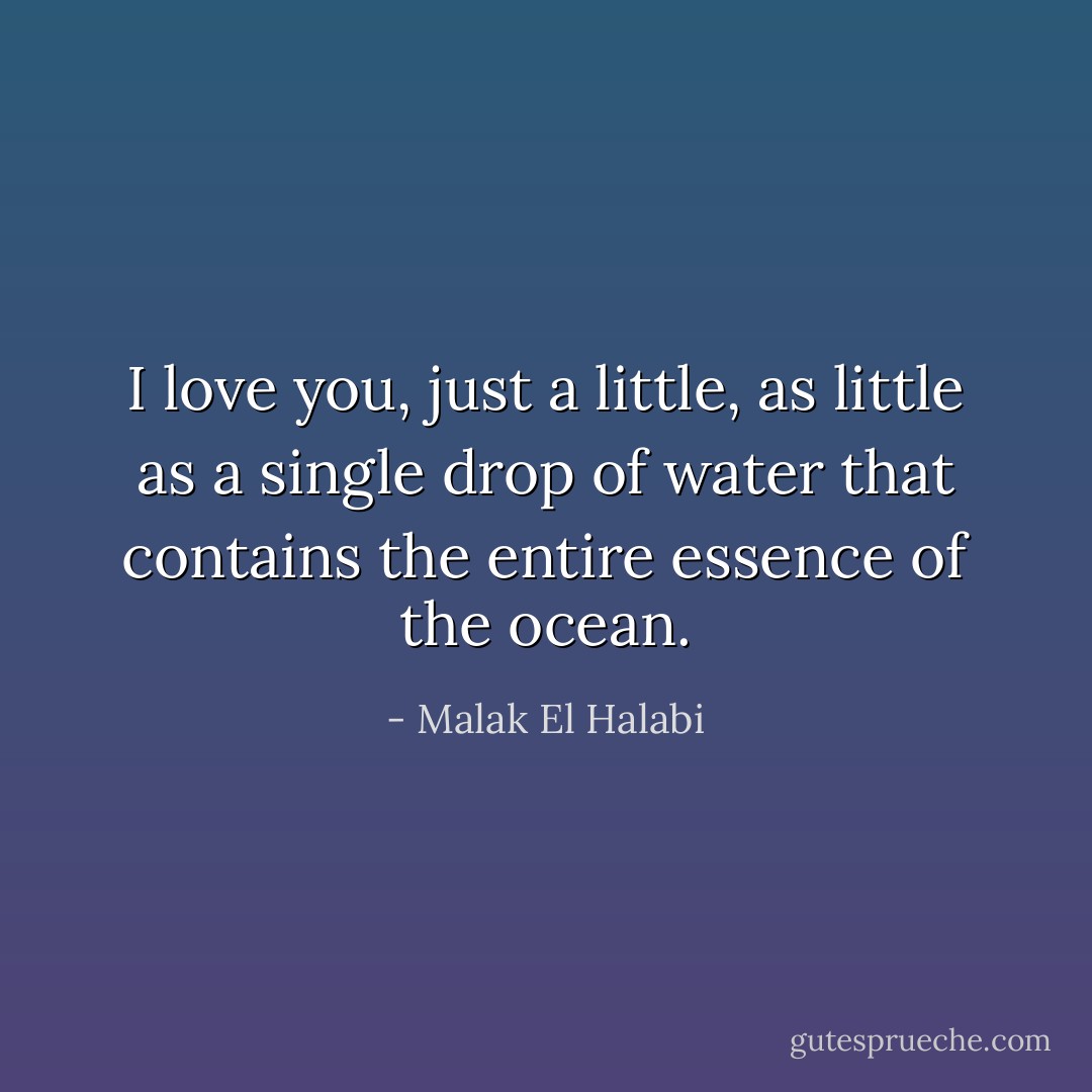 I love you, just a little, as little as a single drop of water that contains the entire essence of the ocean. - Malak El Halabi