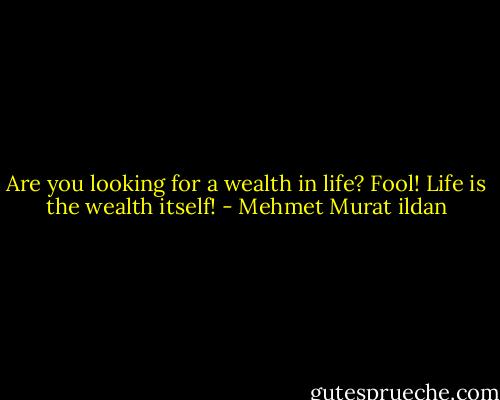 Are you looking for a wealth in life? Fool! Life is the wealth itself! - Mehmet Murat ildan