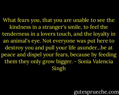 What fears you, that you are unable to see the kindness in a stranger's smile, to feel the tenderness in a lovers touch, and the loyalty in an animal's eye. Not everyone was put here to destroy you and pull your life asunder...be at peace and dispel your fears, because by feeding them they only grow bigger. - Sonia Valencia Singh