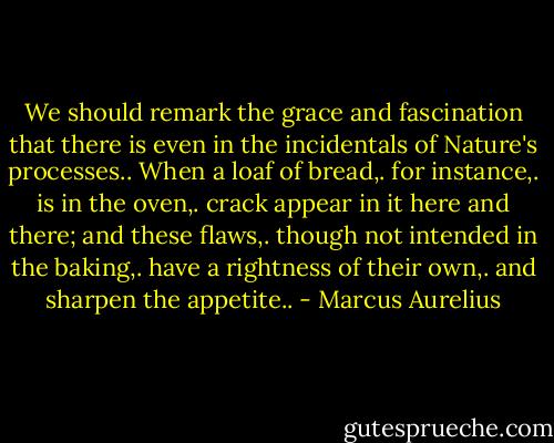 We should remark the grace and fascination that there is even in the incidentals of Nature's processes.. When a loaf of bread,. for instance,. is in the oven,. crack appear in it here and there; and these flaws,. though not intended in the baking,. have a rightness of their own,. and sharpen the appetite.. - Marcus Aurelius