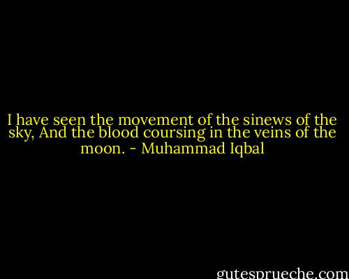 I have seen the movement of the sinews of the sky,<br />And the blood coursing in the veins of the moon. - Muhammad Iqbal