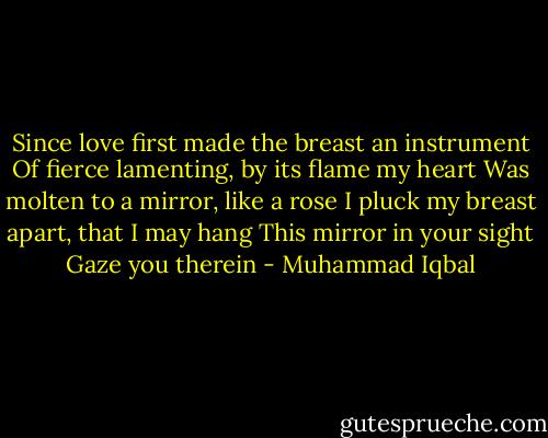 Since love first made the breast an instrument<br />Of fierce lamenting, by its flame my heart<br />Was molten to a mirror, like a rose<br />I pluck my breast apart, that I may hang<br />This mirror in your sight<br />Gaze you therein - Muhammad Iqbal