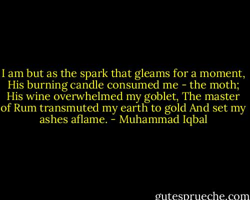 I am but as the spark that gleams for a moment,<br />His burning candle consumed me - the moth;<br />His wine overwhelmed my goblet,<br />The master of Rum transmuted my earth to gold<br />And set my ashes aflame. - Muhammad Iqbal