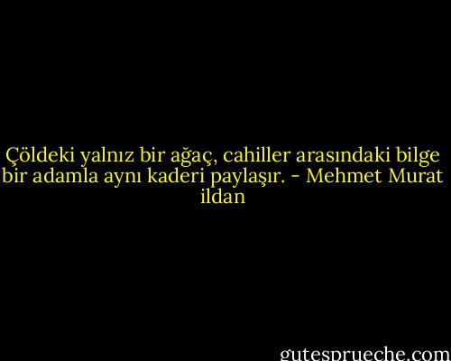 Çöldeki yalnız bir ağaç, cahiller arasındaki bilge bir adamla aynı kaderi paylaşır. - Mehmet Murat ildan