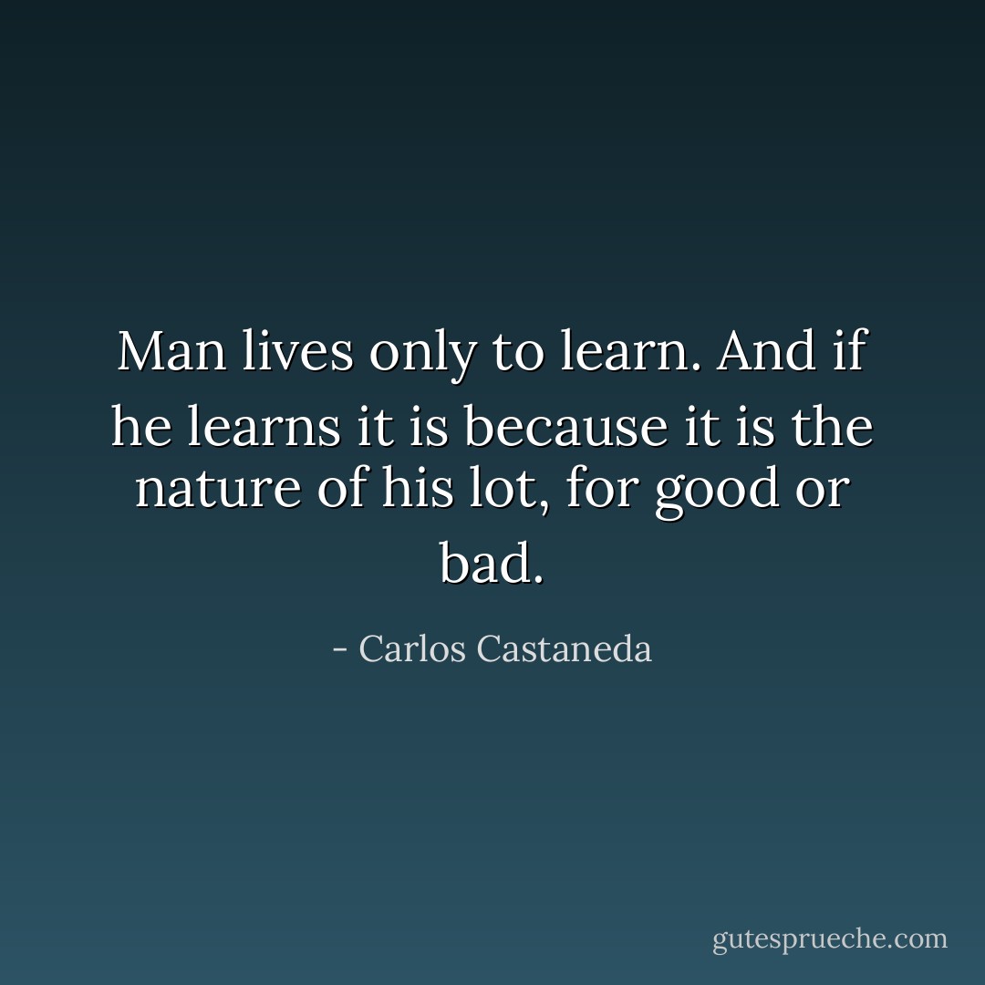 Man lives only to learn. And if he learns it is because it is the nature of his lot, for good or bad. - Carlos Castaneda