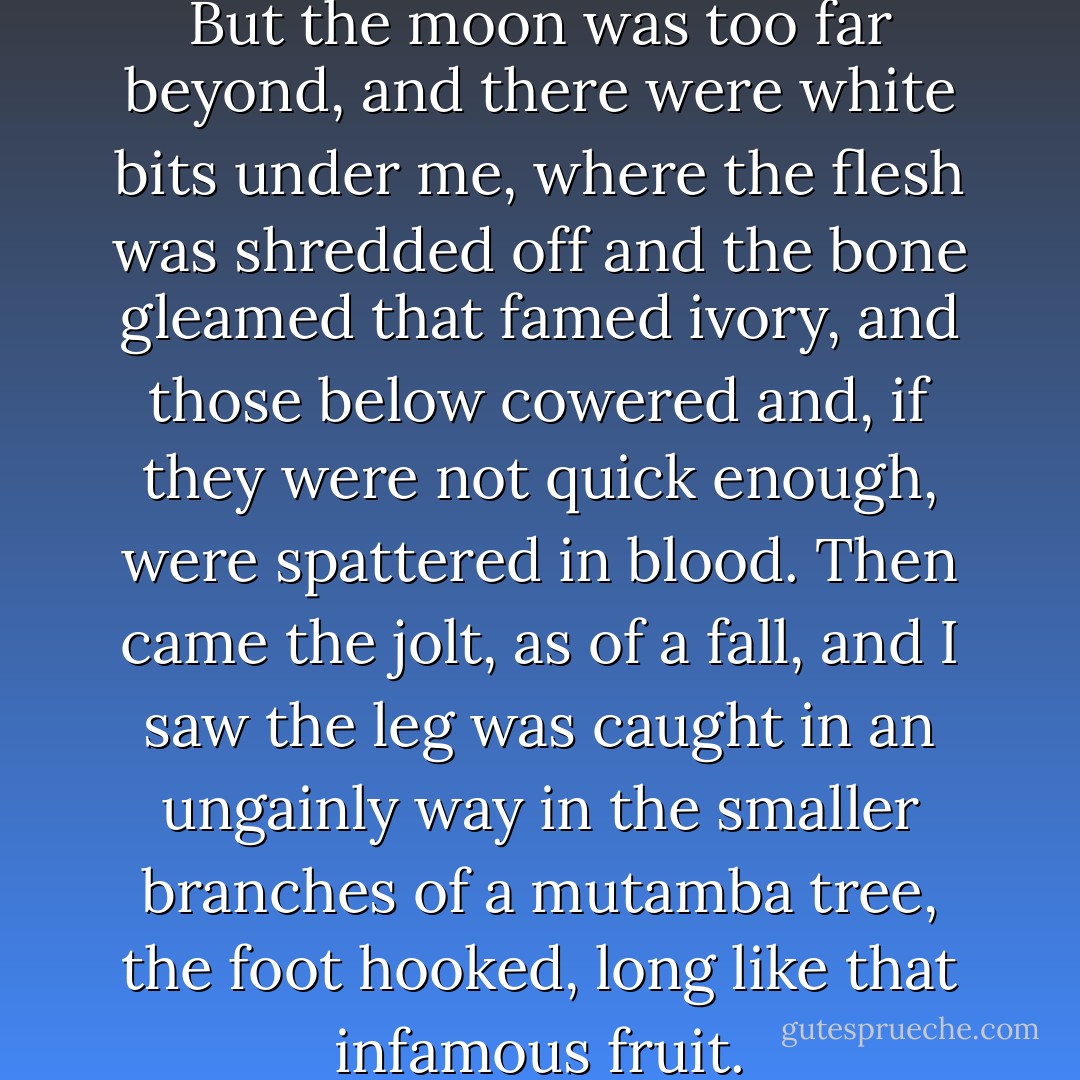 What I wanted was to get away. But the moon was too far beyond, and there were white bits under me, where the flesh was shredded off and the bone gleamed that famed ivory, and those below cowered and, if they were not quick enough, were spattered in blood. Then came the jolt, as of a fall, and I saw the leg was caught in an ungainly way in the smaller branches of a mutamba tree, the foot hooked, long like that infamous fruit. - Tsitsi Dangarembga