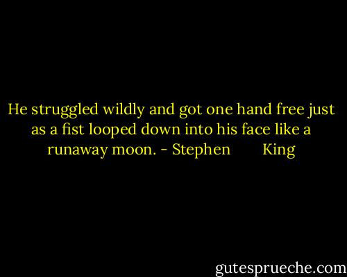 He struggled wildly and got one hand free just as a fist looped down into his face like a runaway moon. - Stephen        King