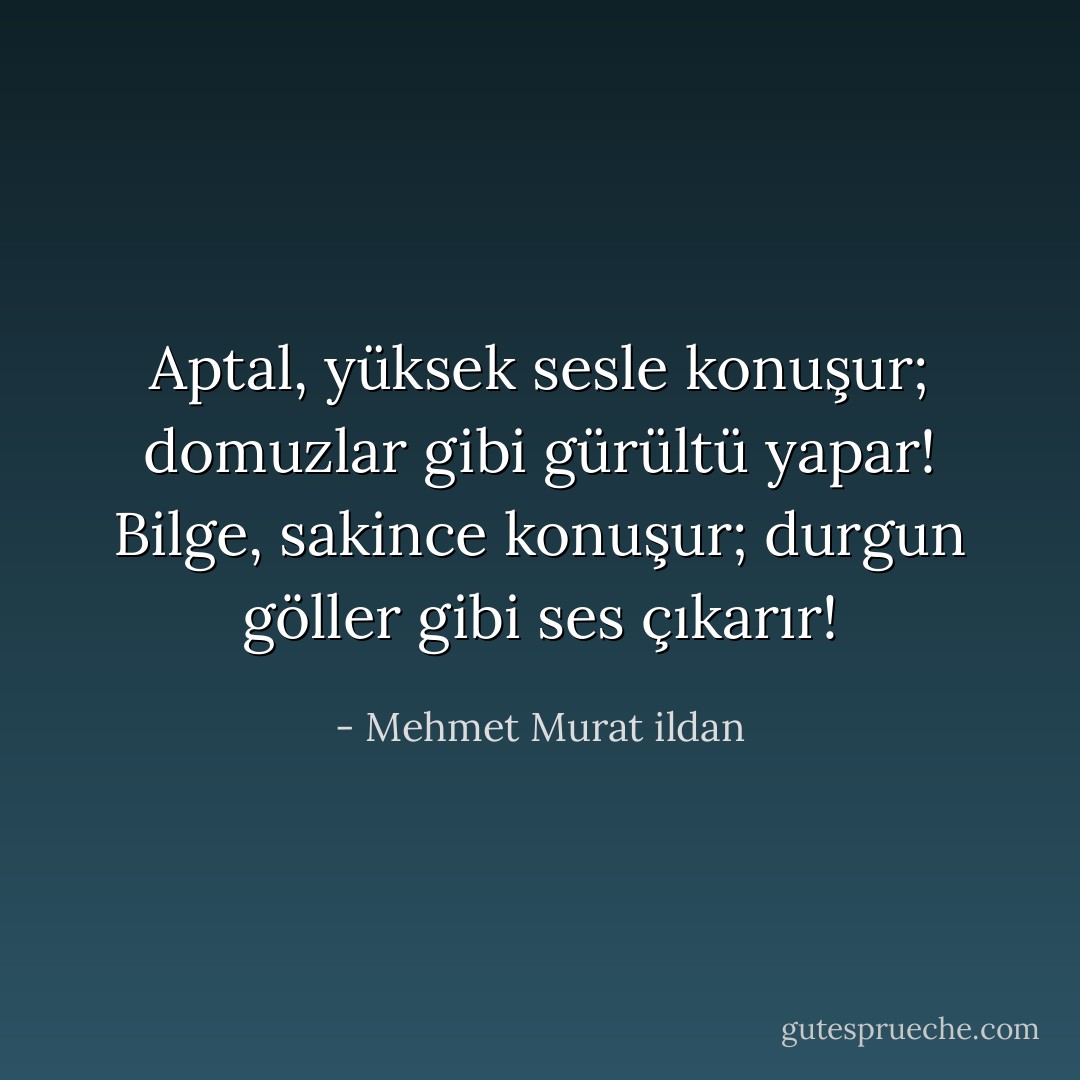 Aptal, yüksek sesle konuşur; domuzlar gibi gürültü yapar! Bilge, sakince konuşur; durgun göller gibi ses çıkarır! - Mehmet Murat ildan