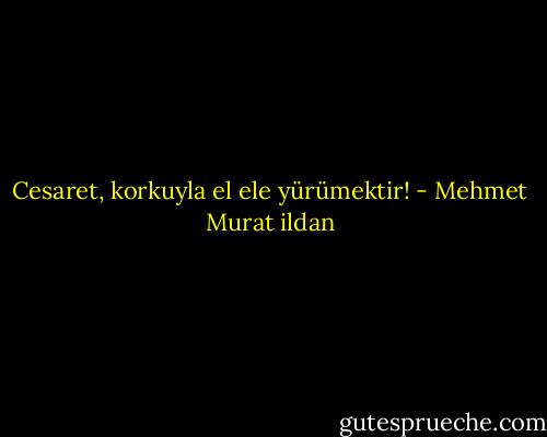 Cesaret, korkuyla el ele yürümektir! - Mehmet Murat ildan