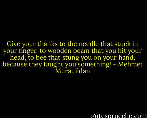 Give your thanks to the needle that stuck in your finger, to wooden beam that you hit your head, to bee that stung you on your hand, because they taught you something! - Mehmet Murat ildan