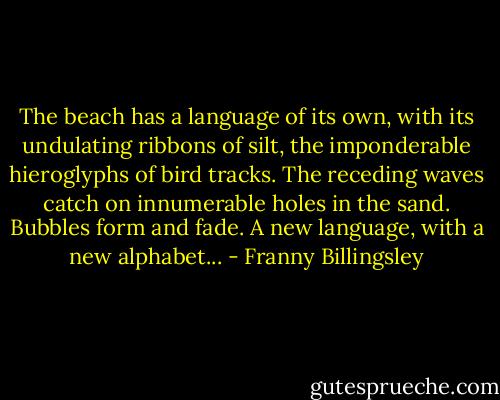 The beach has a language of its own, with its undulating ribbons of silt, the imponderable hieroglyphs of bird tracks. The receding waves catch on innumerable holes in the sand. Bubbles form and fade. A new language, with a new alphabet... - Franny Billingsley