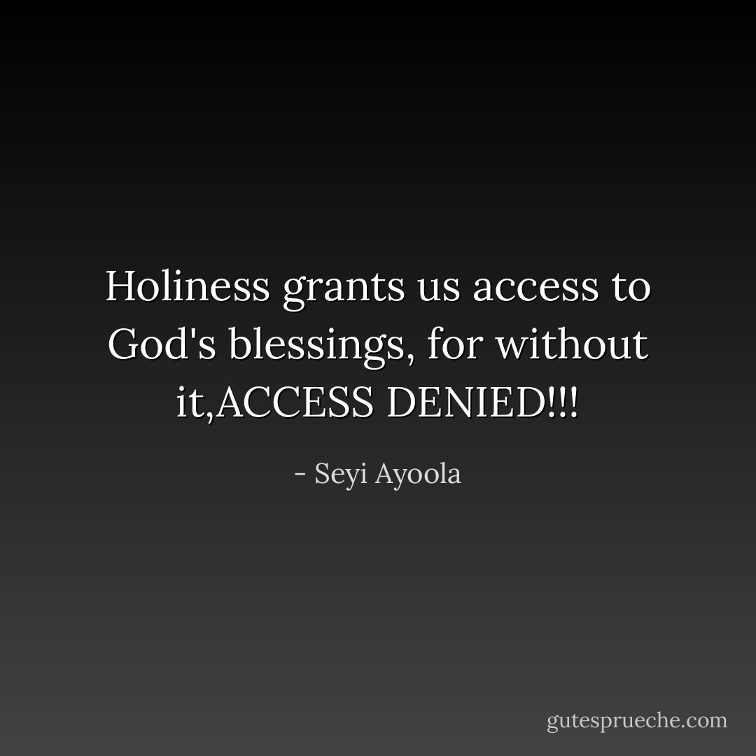 Holiness grants us access to God's blessings, for without it,ACCESS DENIED!!! - Seyi Ayoola