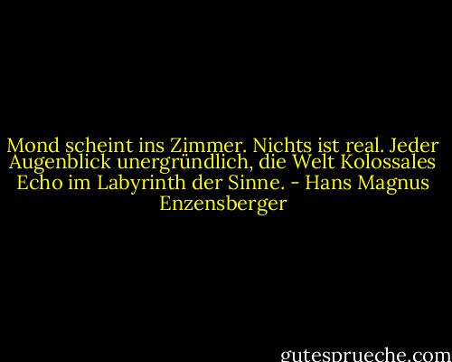 Mond scheint ins Zimmer. Nichts ist real.<br />Jeder Augenblick unergründlich, die Welt<br />Kolossales Echo im Labyrinth der Sinne. - Hans Magnus Enzensberger