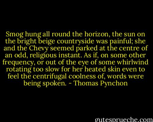 Smog hung all round the horizon, the sun on the bright beige countryside was painful; she and the Chevy seemed parked at the centre of an odd, religious instant. As if, on some other frequency, or out of the eye of some whirlwind rotating too slow for her heated skin even to feel the centrifugal coolness of, words were being spoken. - Thomas Pynchon