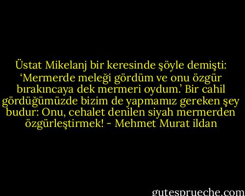 Üstat Mikelanj bir keresinde şöyle demişti: ‘Mermerde meleği gördüm ve onu özgür bırakıncaya dek mermeri oydum.’ Bir cahil gördüğümüzde bizim de yapmamız gereken şey budur: Onu, cehalet denilen siyah mermerden özgürleştirmek! - Mehmet Murat ildan
