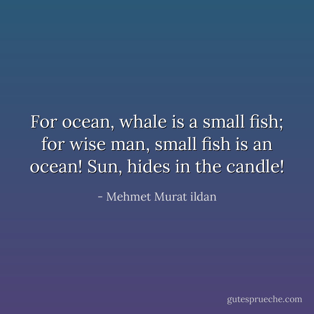 For ocean, whale is a small fish; for wise man, small fish is an ocean! Sun, hides in the candle! - Mehmet Murat ildan