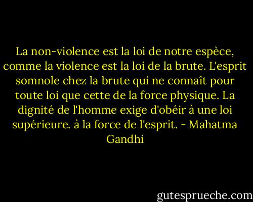 La non-violence est la loi de notre espèce, comme la violence est la loi de la brute. L'esprit somnole chez la brute qui ne connaît pour toute loi que cette de la force physique. La dignité de l'homme exige d'obéir à une loi supérieure.<br />à la force de l'esprit. - Mahatma Gandhi