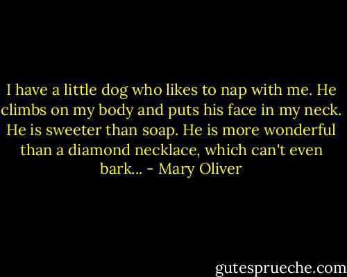 I have a little dog who likes to nap with me.<br />He climbs on my body and puts his face in my neck.<br />He is sweeter than soap.<br />He is more wonderful than a diamond necklace,<br />which can't even bark... - Mary Oliver