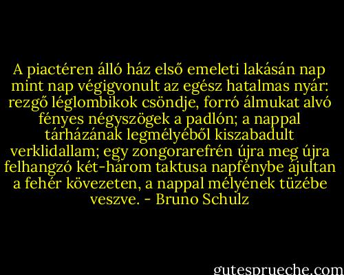 A piactéren álló ház első emeleti lakásán nap mint nap végigvonult az egész hatalmas nyár: rezgő léglombikok csöndje, forró álmukat alvó fényes négyszögek a padlón; a nappal tárházának legmélyéből kiszabadult verklidallam; egy zongorarefrén újra meg újra felhangzó két-három taktusa napfénybe ájultan a fehér kövezeten, a nappal mélyének tüzébe veszve. - Bruno Schulz