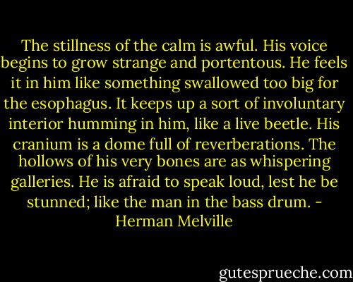 The stillness of the calm is awful. His voice begins to grow strange and portentous. He feels it in him like something swallowed too big for the esophagus. It keeps up a sort of involuntary interior humming in him, like a live beetle. His cranium is a dome full of reverberations. The hollows of his very bones are as whispering galleries. He is afraid to speak loud, lest he be stunned; like the man in the bass drum. - Herman Melville