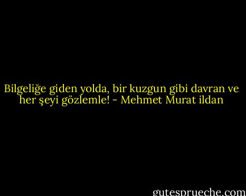 Bilgeliğe giden yolda, bir kuzgun gibi davran ve her şeyi gözlemle! - Mehmet Murat ildan