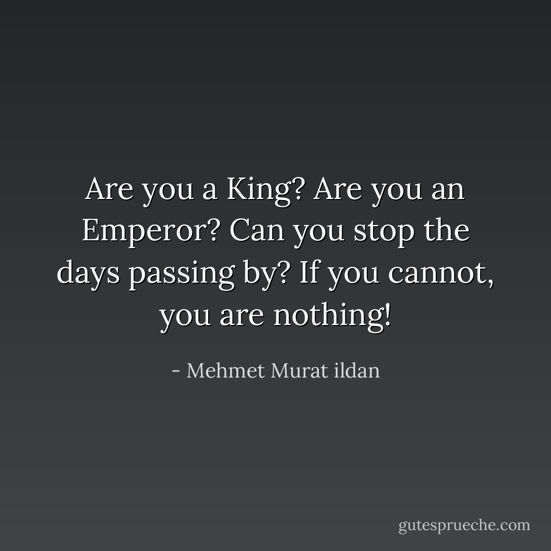 Are you a King? Are you an Emperor? Can you stop the days passing by? If you cannot, you are nothing! - Mehmet Murat ildan