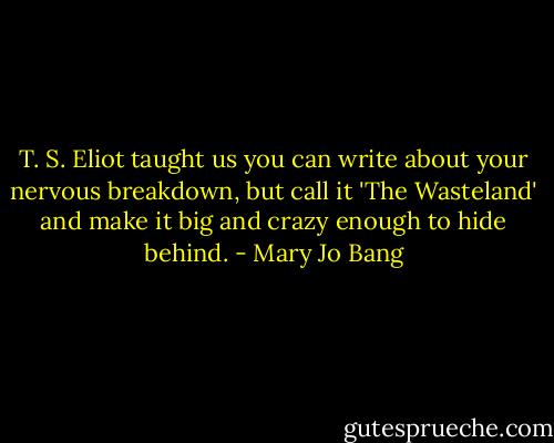 T. S. Eliot taught us you can write about your nervous breakdown, but call it 'The Wasteland' and make it big and crazy enough to hide behind. - Mary Jo Bang