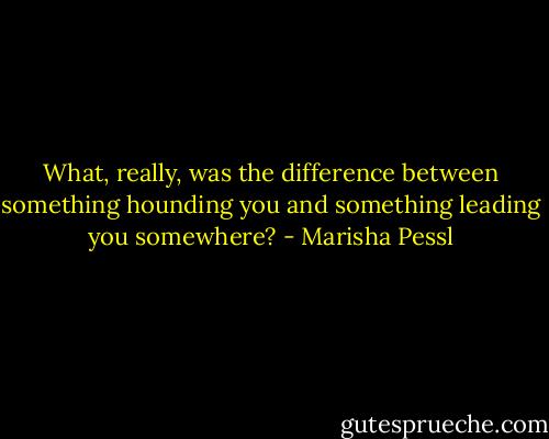 What, really, was the difference between something hounding you and something leading you somewhere? - Marisha Pessl