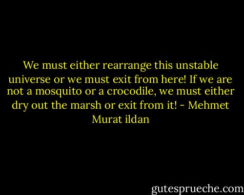 We must either rearrange this unstable universe or we must exit from here! If we are not a mosquito or a crocodile, we must either dry out the marsh or exit from it! - Mehmet Murat ildan