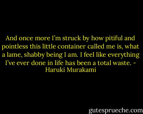 And once more I’m struck by how pitiful and pointless this little container called me is, what a lame, shabby being I am. I feel like everything I’ve ever done in life has been a total waste. - Haruki Murakami