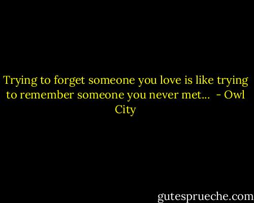 Trying to forget someone you love is like trying to remember someone you never met...  - Owl City
