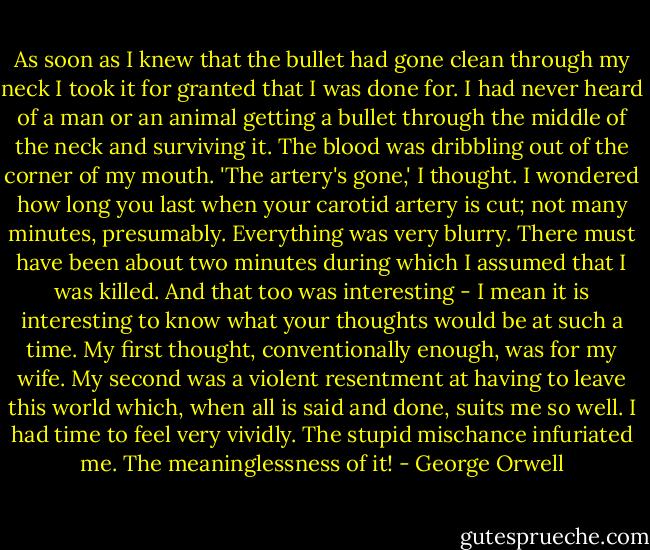 As soon as I knew that the bullet had gone clean through my neck I took it for granted that I was done for. I had never heard of a man or an animal getting a bullet through the middle of the neck and surviving it. The blood was dribbling out of the corner of my mouth. 'The artery's gone,' I thought. I wondered how long you last when your carotid artery is cut; not many minutes, presumably. Everything was very blurry. There must have been about two minutes during which I assumed that I was killed. And that too was interesting - I mean it is interesting to know what your thoughts would be at such a time. My first thought, conventionally enough, was for my wife. My second was a violent resentment at having to leave this world which, when all is said and done, suits me so well. I had time to feel very vividly. The stupid mischance infuriated me. The meaninglessness of it! - George Orwell