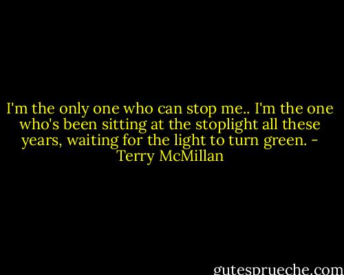 I'm the only one who can stop me.. I'm the one who's been sitting at the stoplight all these years, waiting for the light to turn green. - Terry McMillan