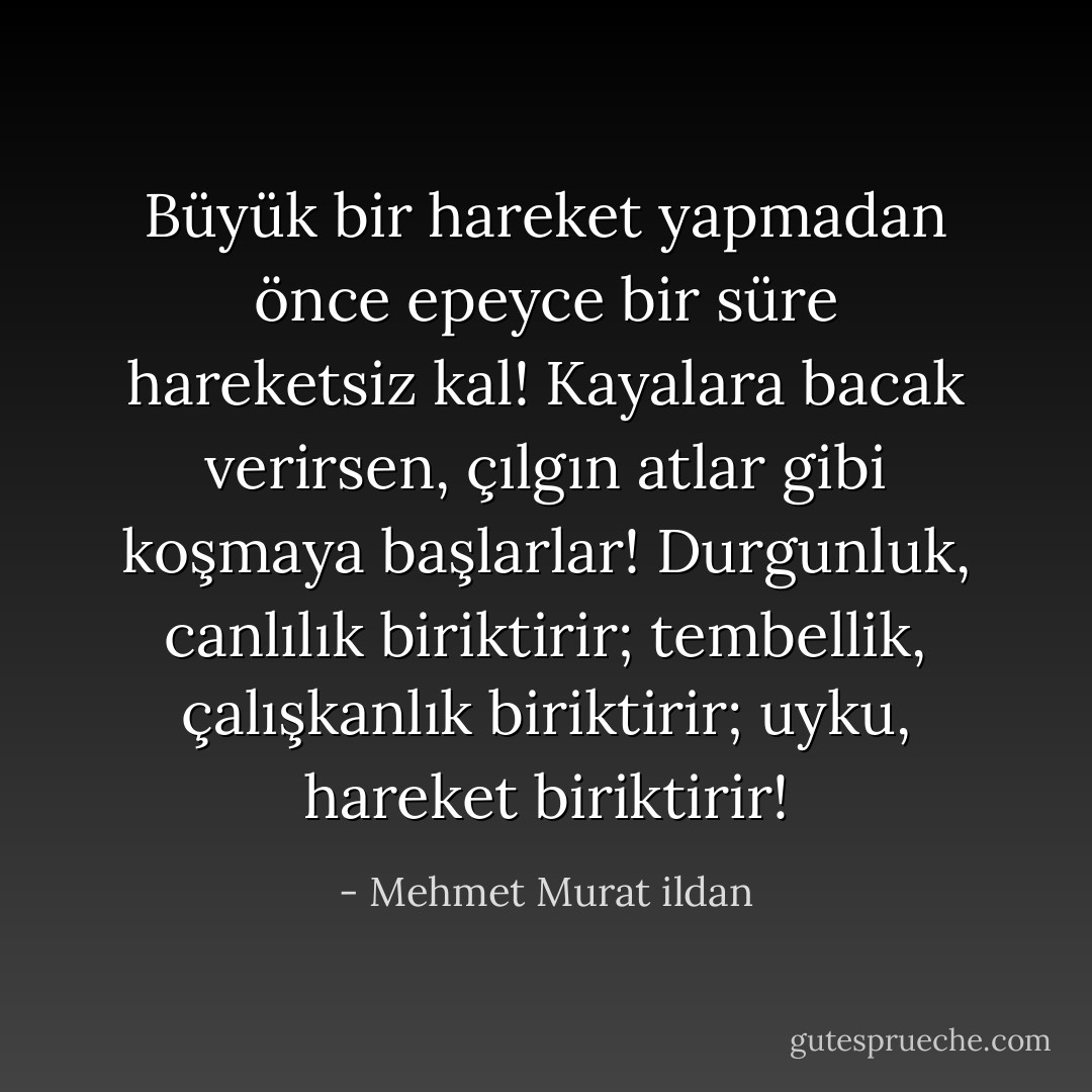 Büyük bir hareket yapmadan önce epeyce bir süre hareketsiz kal! Kayalara bacak verirsen, çılgın atlar gibi koşmaya başlarlar! Durgunluk, canlılık biriktirir; tembellik, çalışkanlık biriktirir; uyku, hareket biriktirir! - Mehmet Murat ildan