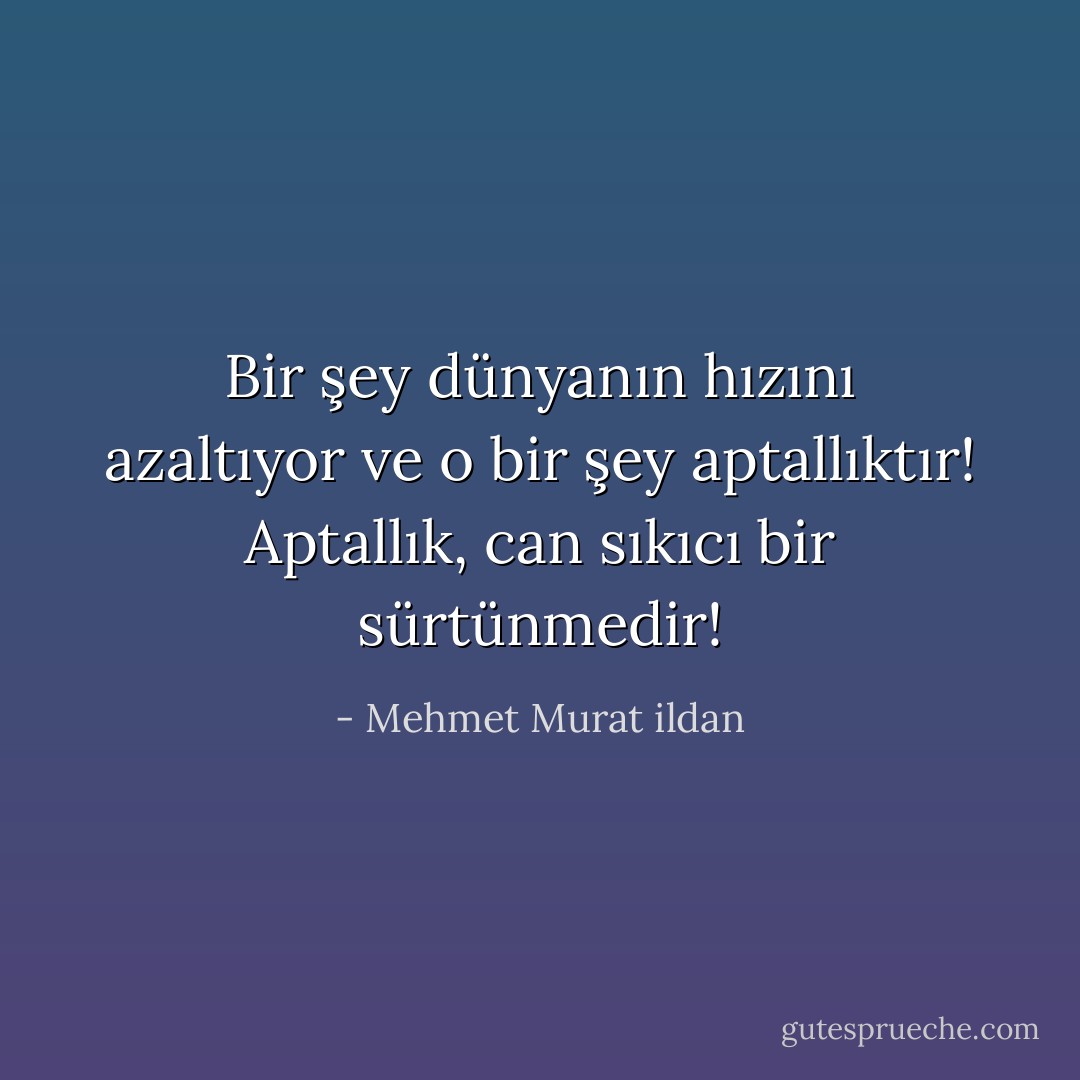 Bir şey dünyanın hızını azaltıyor ve o bir şey aptallıktır! Aptallık, can sıkıcı bir sürtünmedir! - Mehmet Murat ildan