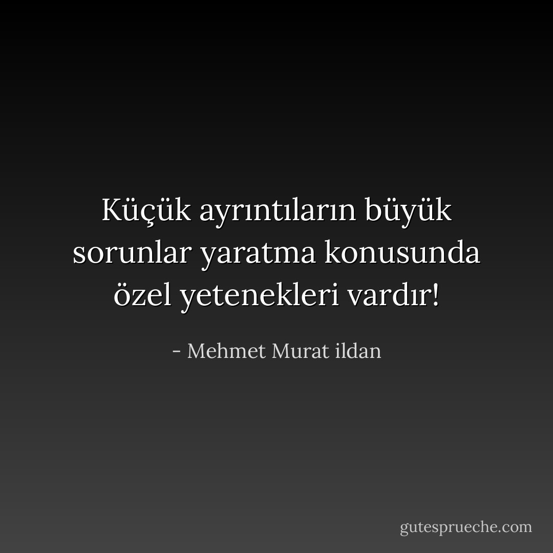 Küçük ayrıntıların büyük sorunlar yaratma konusunda özel yetenekleri vardır! - Mehmet Murat ildan